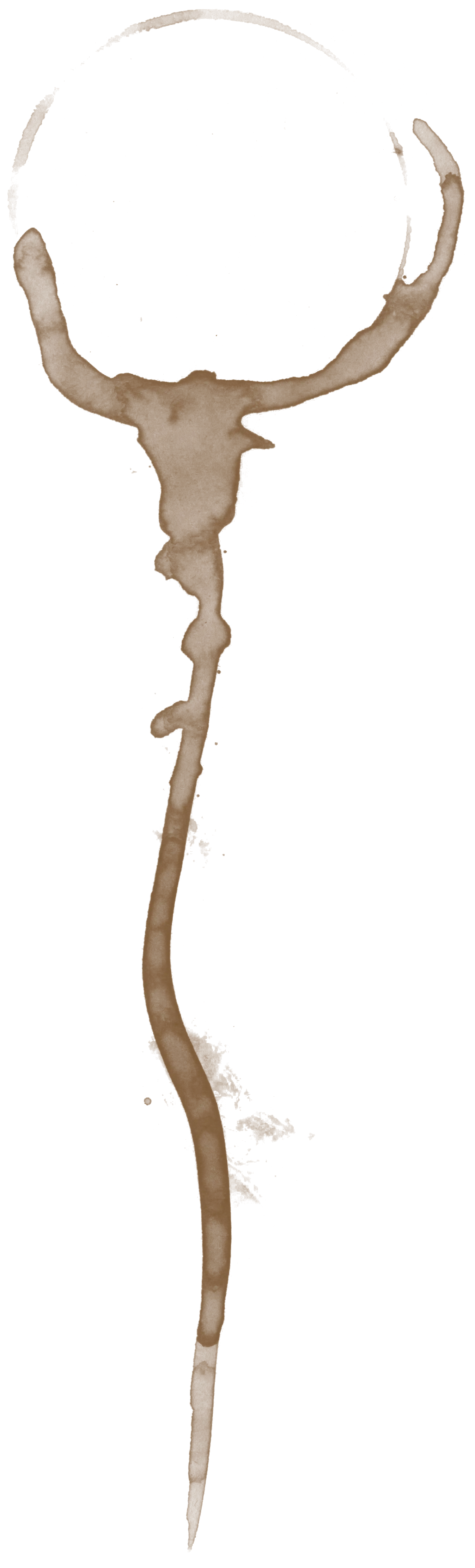 coffee stain texture